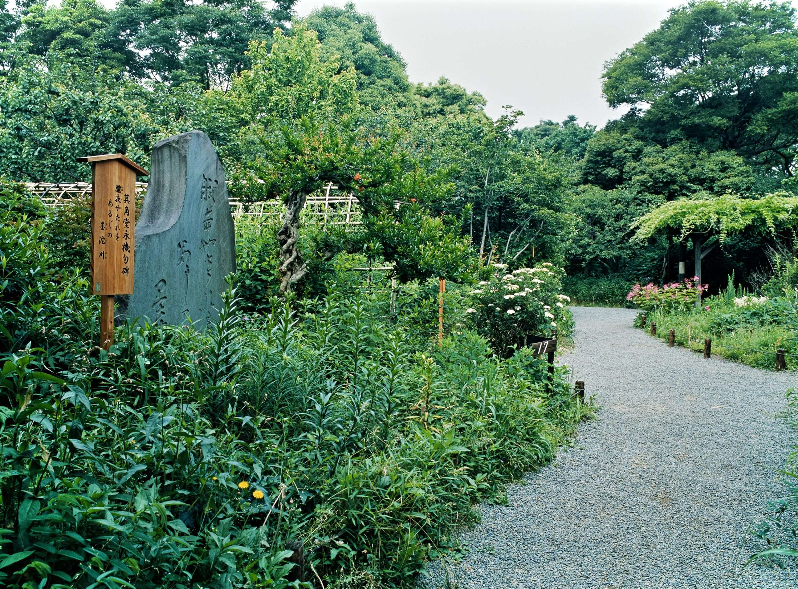 🌸 백화원(무코지마 햣카엔) 이미지 5